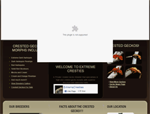 Tablet Screenshot of extremecresties.com